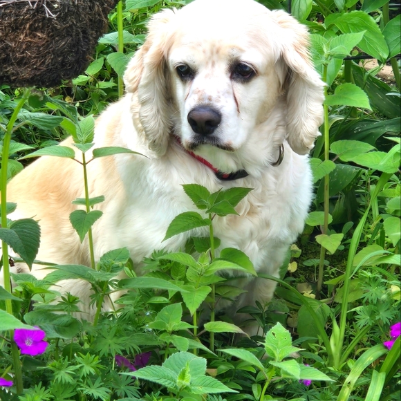 Meet your Posher, Neysa - Picture 1 of 1